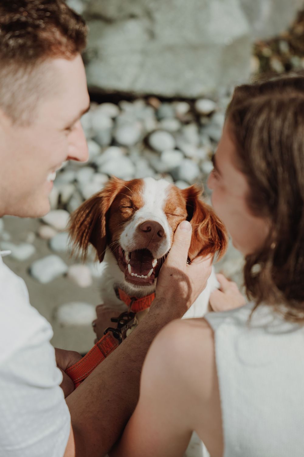 Smiling couple petting their happy brown and white dog on a rocky beach. Engagement photoshoot. Victoria, BC, Vancouver Island.