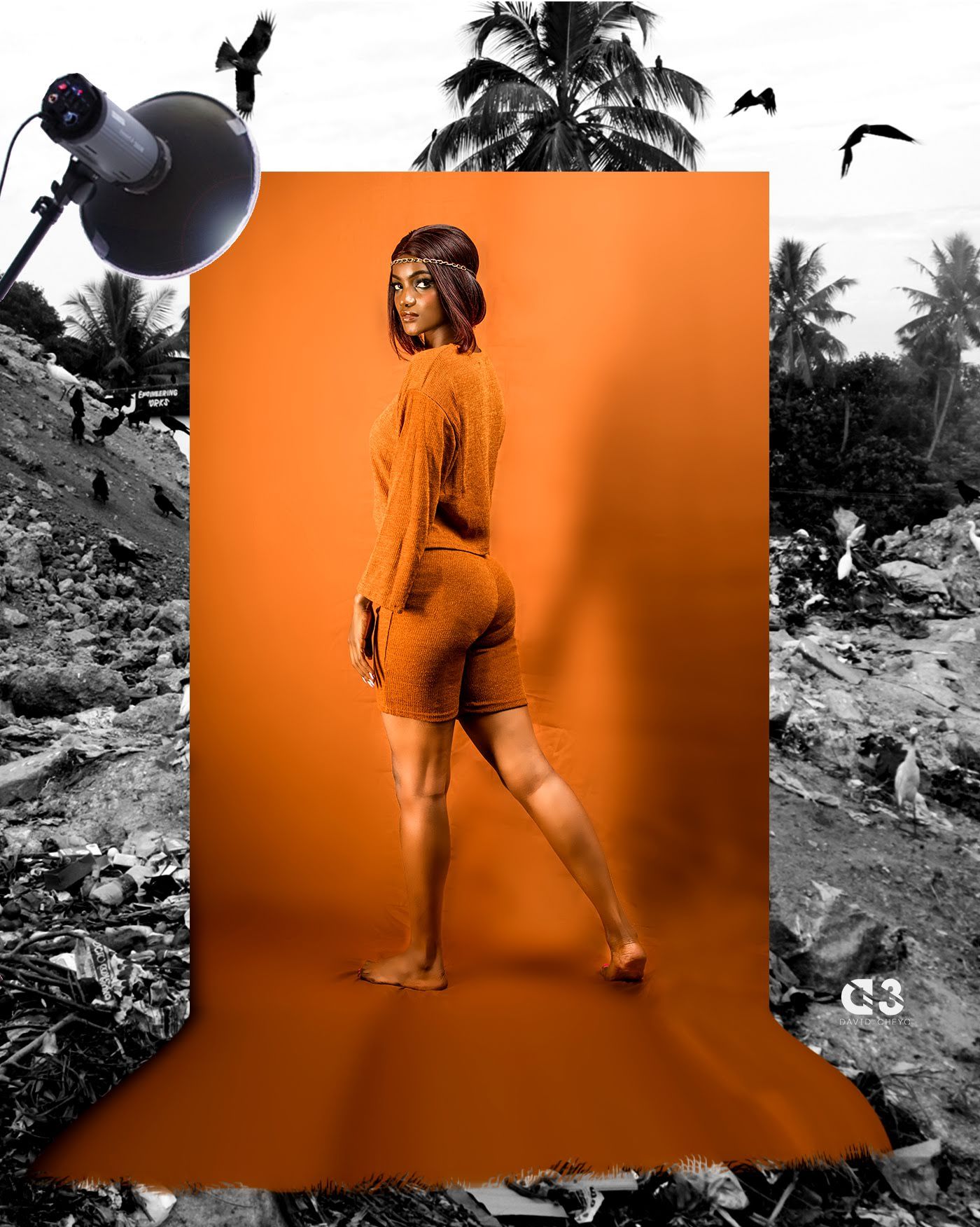 Artistic portrait against orange backdrop with black and white tropical palm tree background.