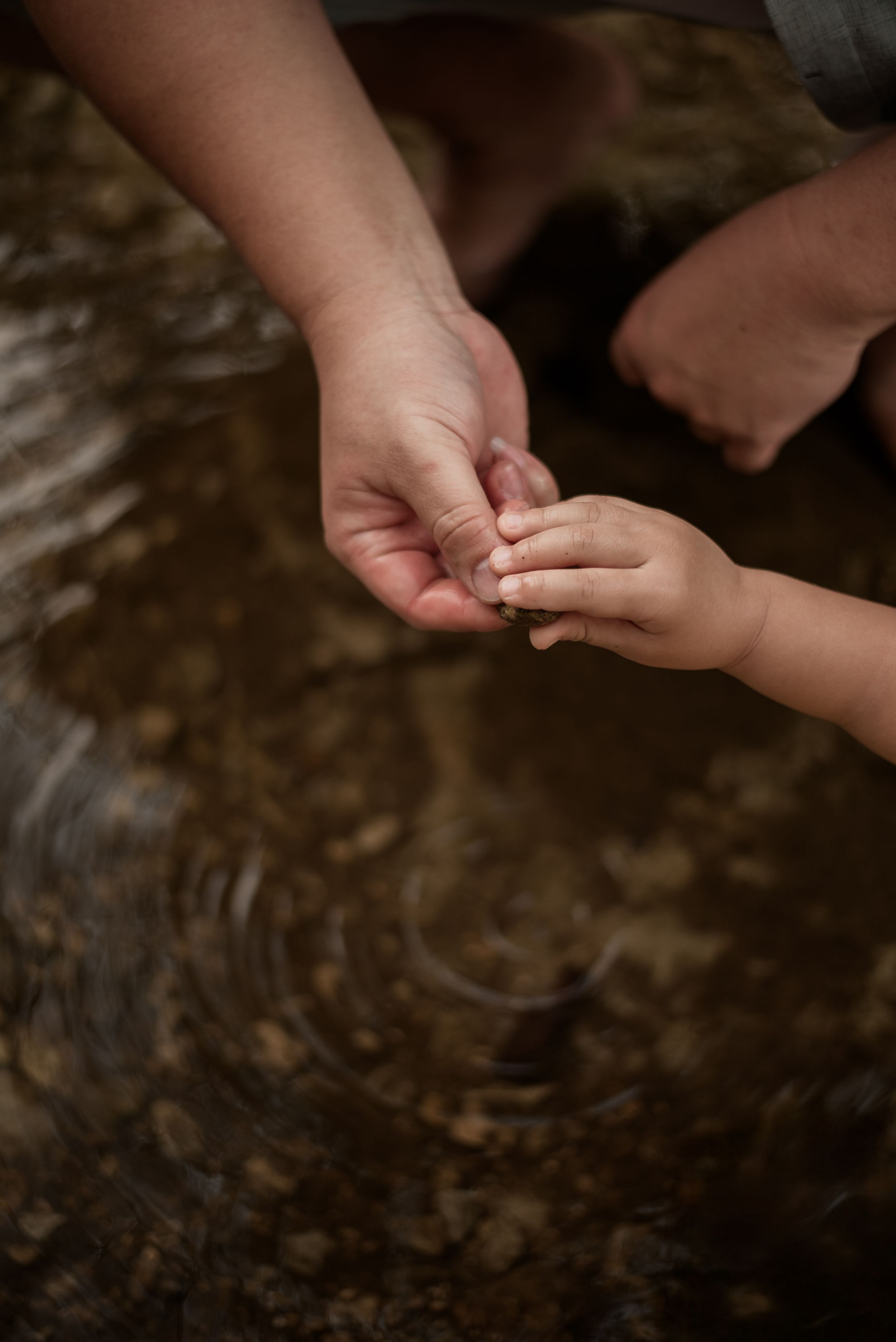 Adult and child hands gently touching over shallow rippling water with pebbles visible beneath the surface.