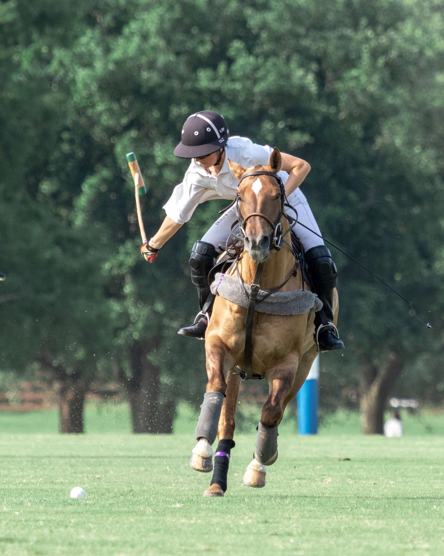 Polo