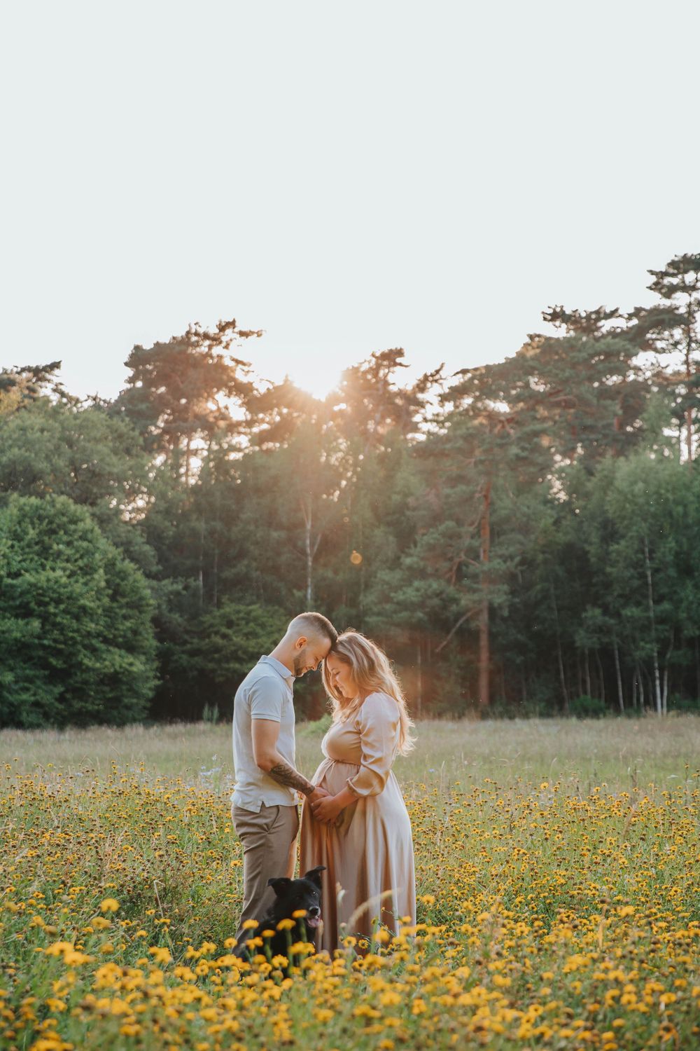 A couple stands intimately in a meadow of yellow wildflowers at sunset with pine trees in the background.