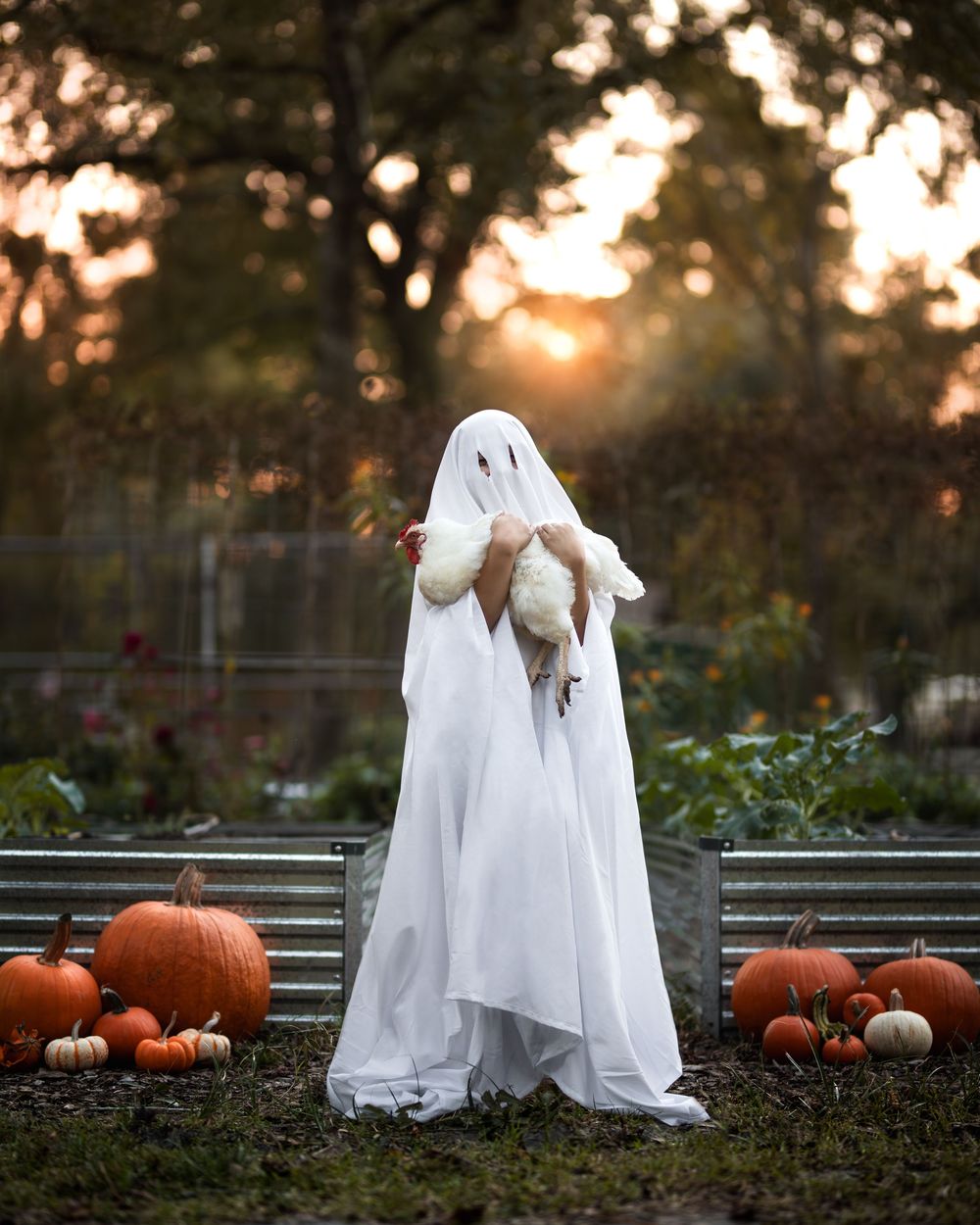 A series of ghost costumes and pumpkins arranged in a garden setting at sunset creates a spooky Halloween scene in Crosby, TX.