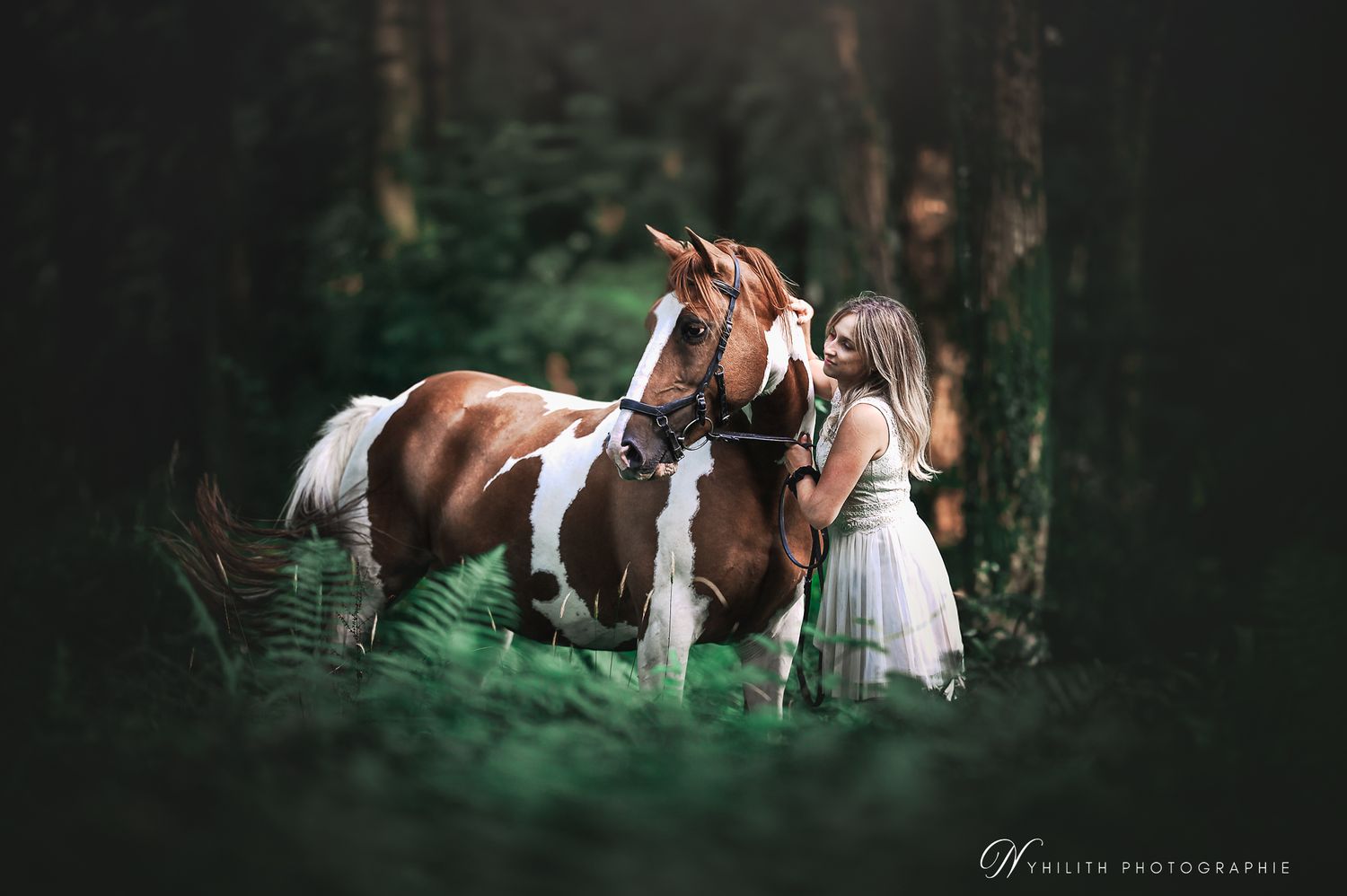 Photographe cheval et portrait en forêt – Lumière naturelle, Verdun, Meuse.