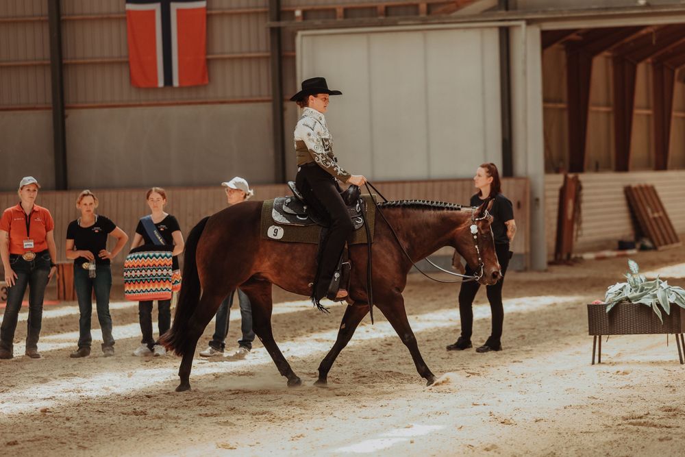 A rider performs an equestrian demonstration on a dark brown horse inside an indoor arena with spectators watching.