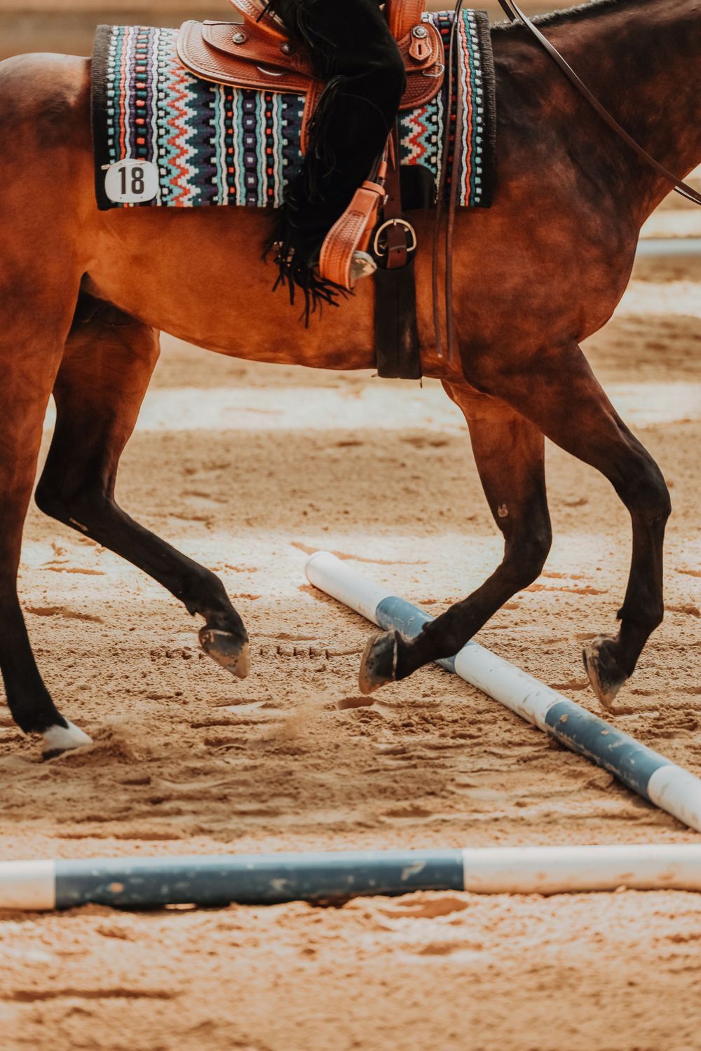 Close-up view of a chestnut horse's legs with a decorative southwestern saddle blanket stepping over ground poles.