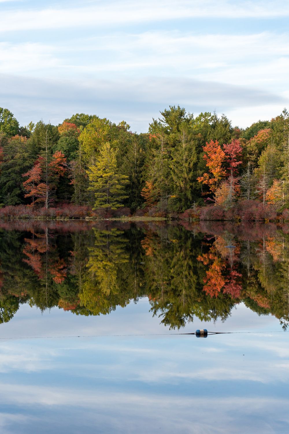 Fall foliage reflects perfectly in still lake waters creating a mirror image of colorful trees.