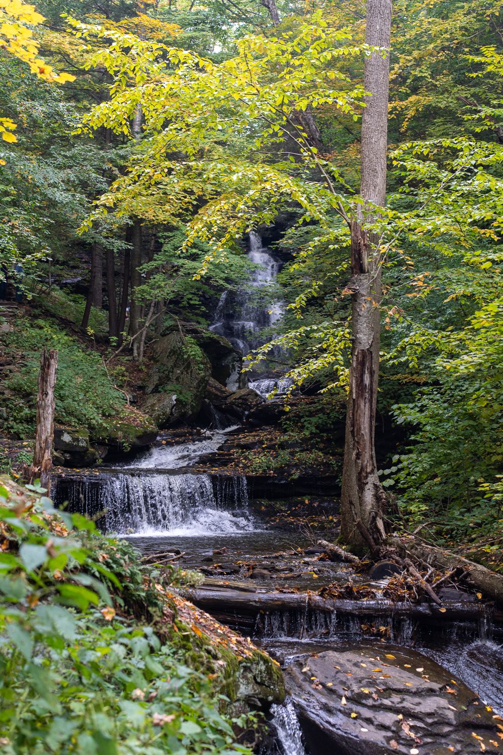 Multi-tiered waterfall cascades through lush forest with yellow autumn leaves.