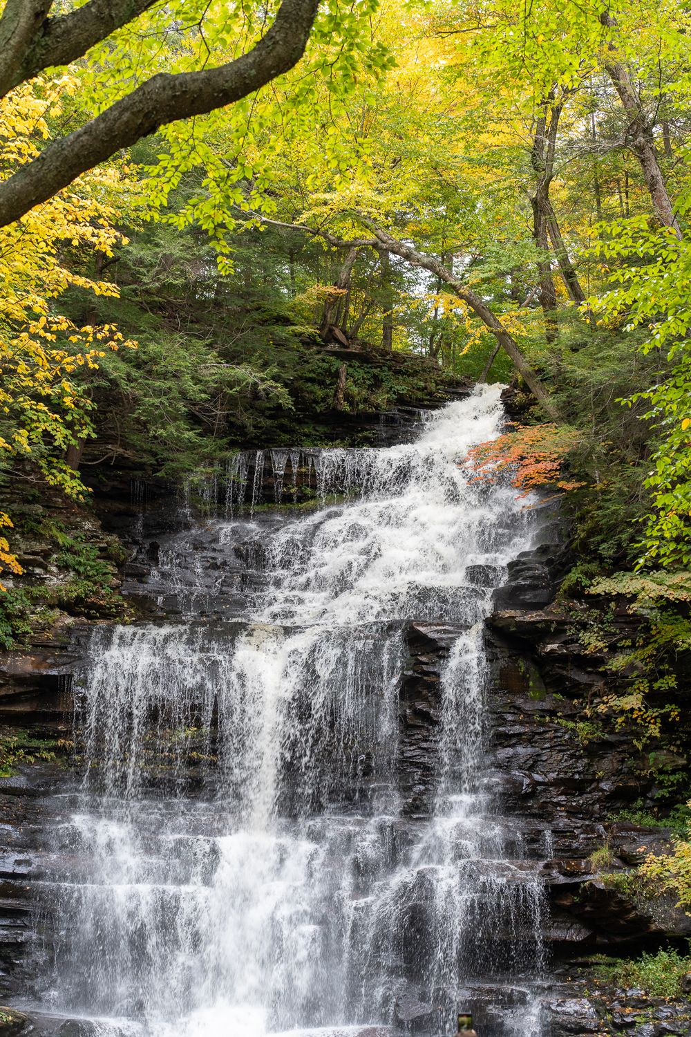 Cascading waterfall surrounded by vibrant autumn foliage in a lush forest setting.