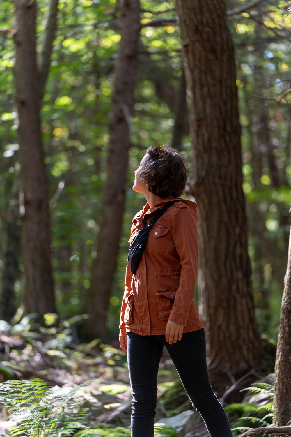 Person in orange jacket explores autumn forest trail.