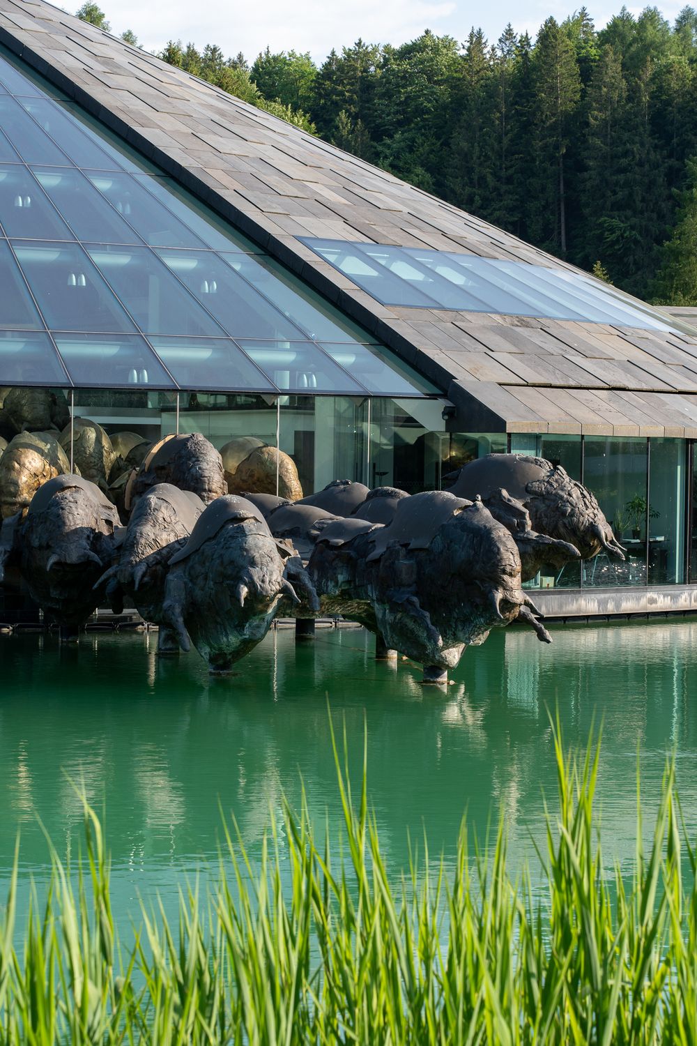 Modern glass building with stone facade reflecting in green water with reeds in foreground.
