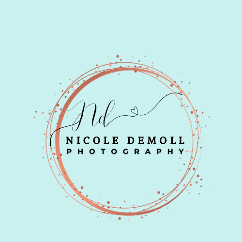 Maryland Photographer