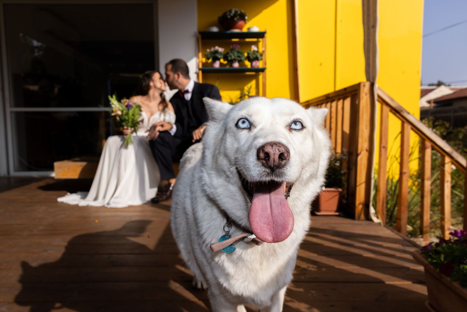 couple holding each other during portraits at a kibutz in northen israel
