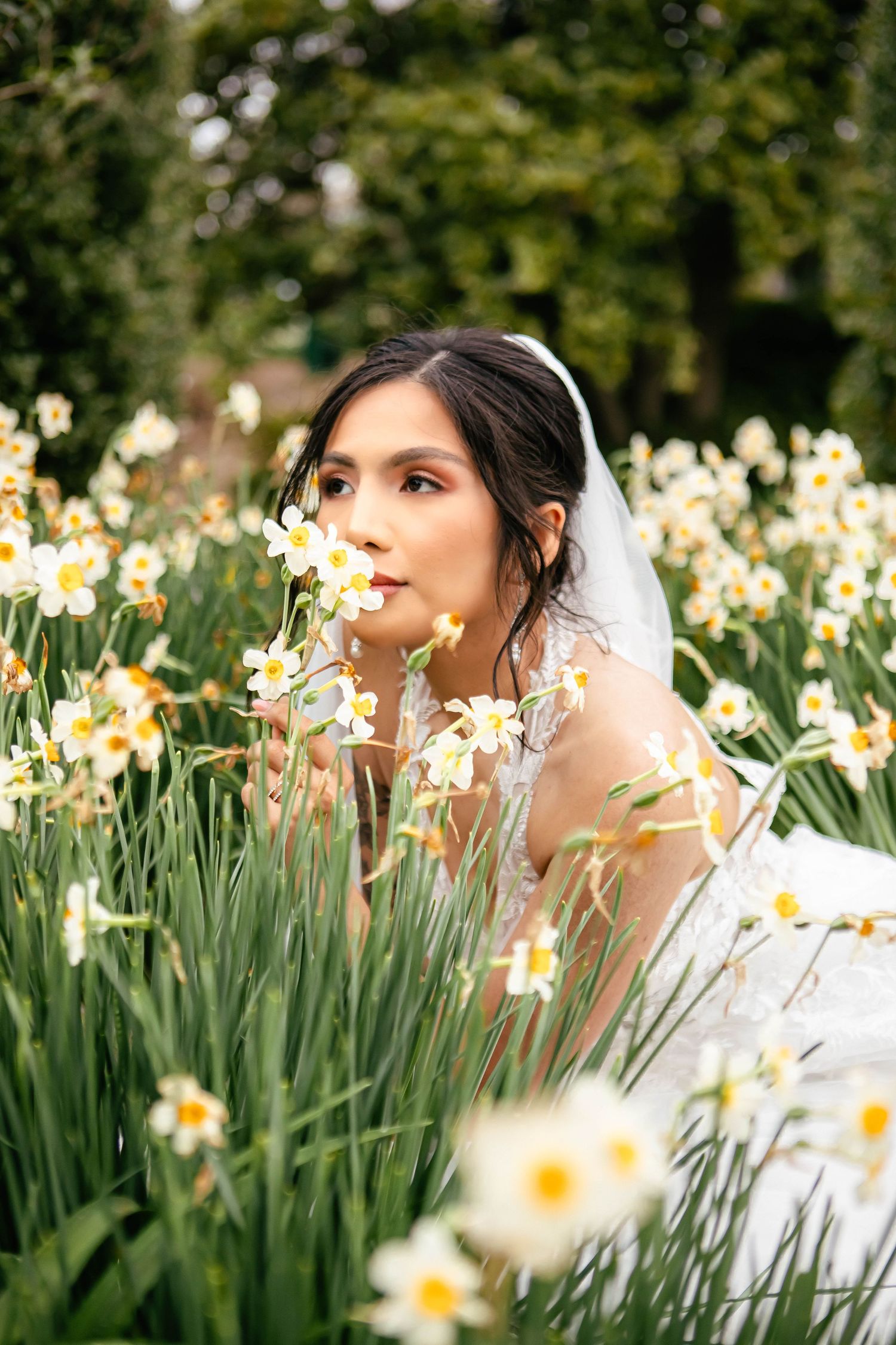 Bride in white veil poses among blooming spring daffodils.