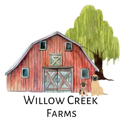 Watercolor illustration of a red barn with willow tree and farm name Willow Creek Farms.