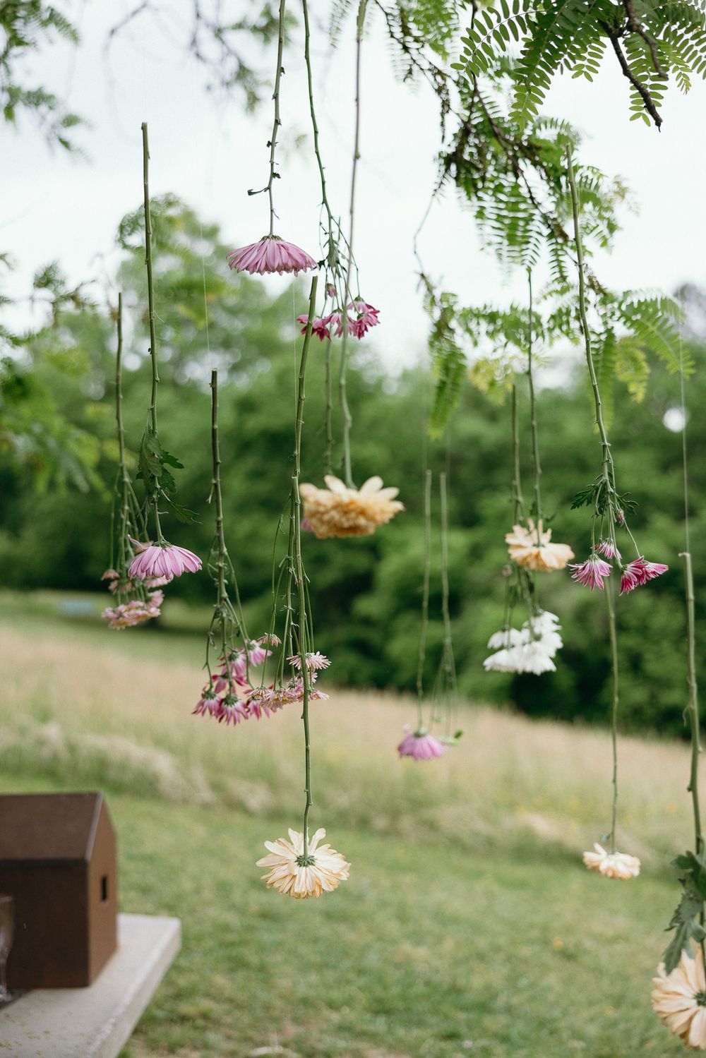 Delicate pink and peach flowers hang from strings against a blurred green natural background. Twickenham House Wedding Photographer