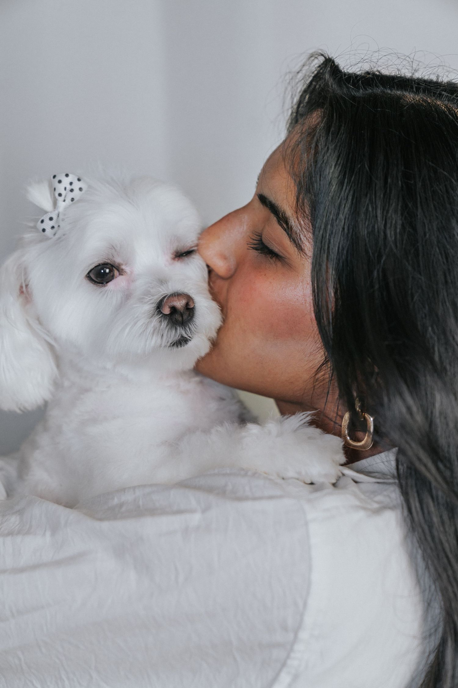 A small white Maltese dog with polka dot bows getting a loving kiss while resting on white bedding.