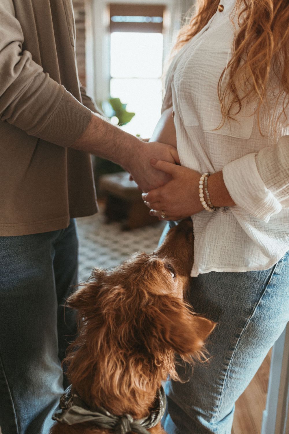 Couple holding hands with red-haired dog looking up during pregnancy photoshoot.
