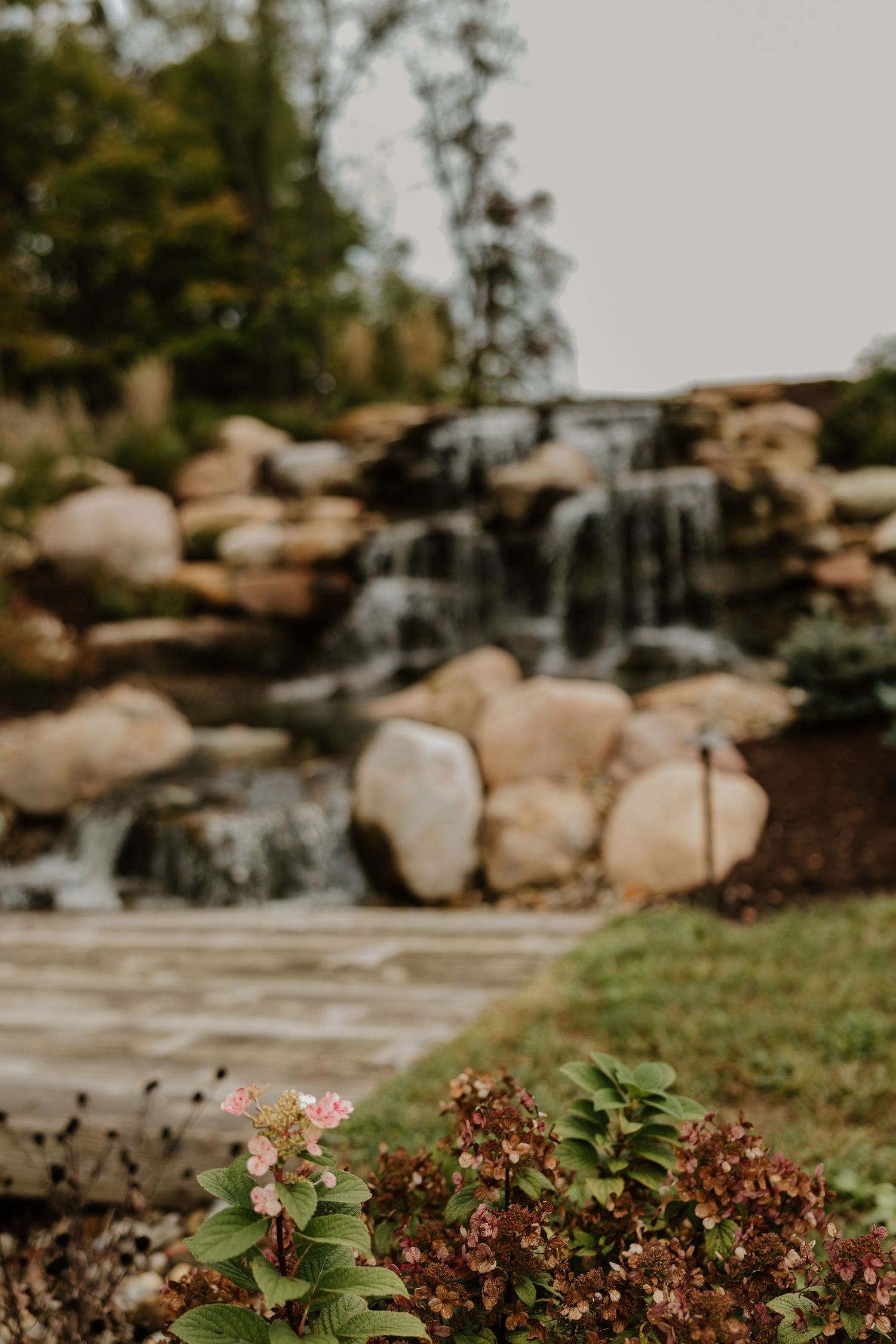 A scenic waterfall cascades over natural rocks with pink flowers blooming in the foreground.
