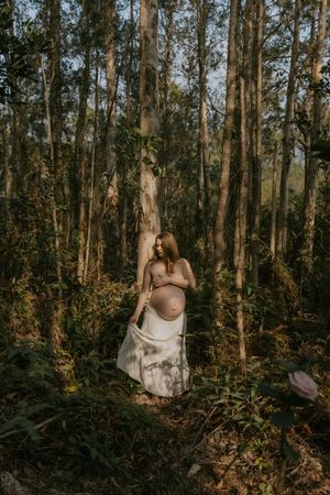 A figure in a white dress stands among tall eucalyptus trees in a sunlit forest setting.