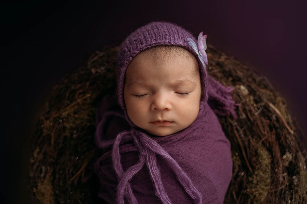 posed newborn photo, purple newborn photography, aerial newborn shot, newborn photographer Motueka, newborn photographer Nelson