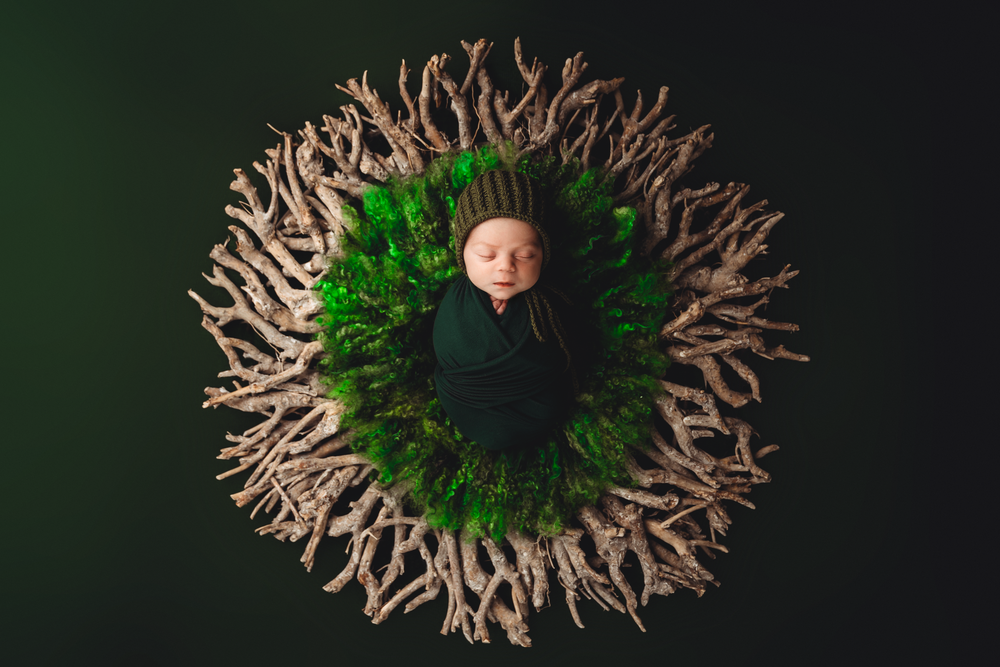 posed newborn photo, green newborn photography, aerial newborn shot, Motueka newborn photographer, newborn photographer Nelson, photo studio