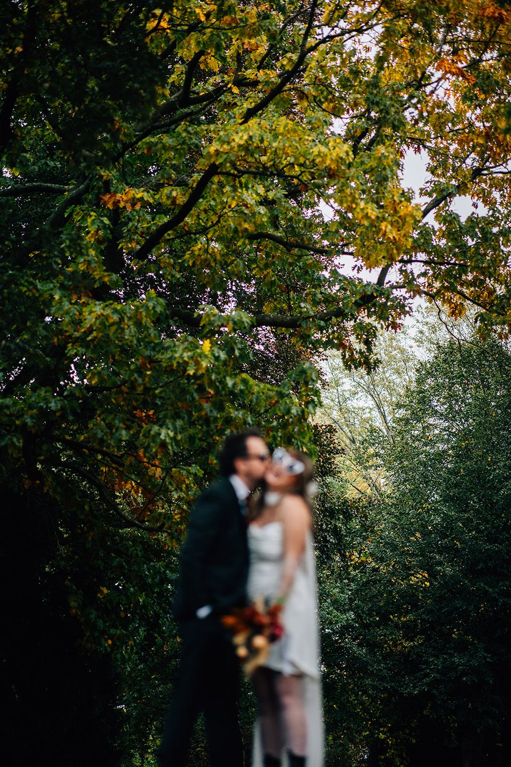 Autumn trees with golden leaves frame a romantic outdoor scene.