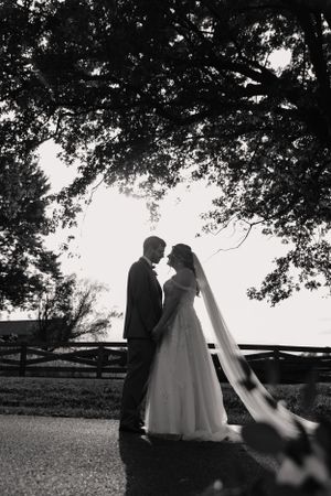 Black and white wedding photos showing couple in silhouette against tree-lined backdrop.