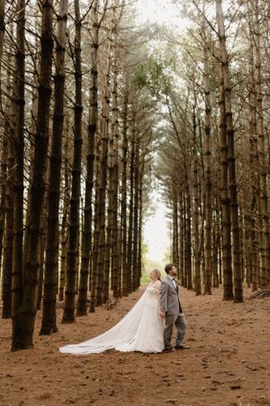 Atmospheric wedding portraits in a pine forest with dramatic leading lines created by tree rows.