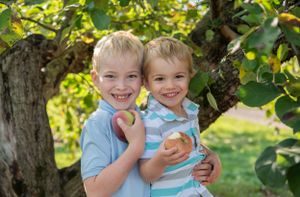 Two children share joyful moments together under an apple tree.