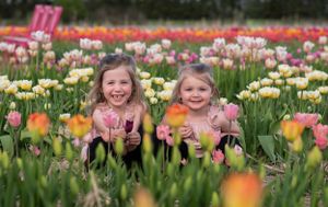 Two children laugh joyfully while lying among colorful tulips in a garden.