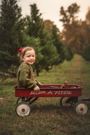 A child sits in a vintage red Radio Flyer wagon surrounded by evergreen trees.