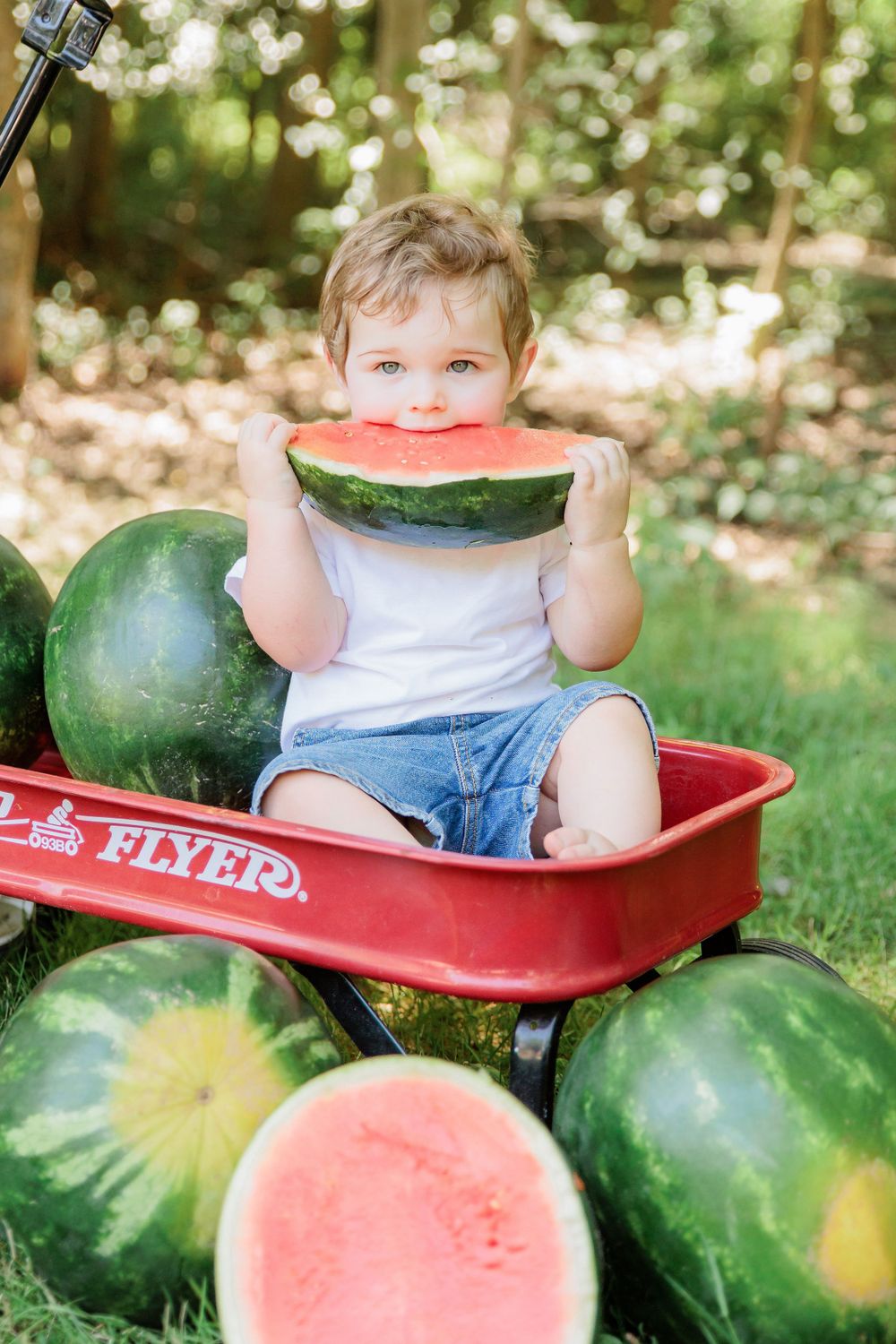 photo shoot session children watermelon cherry hill nj new jersey south clayton franklinville glassboro malaga mantua