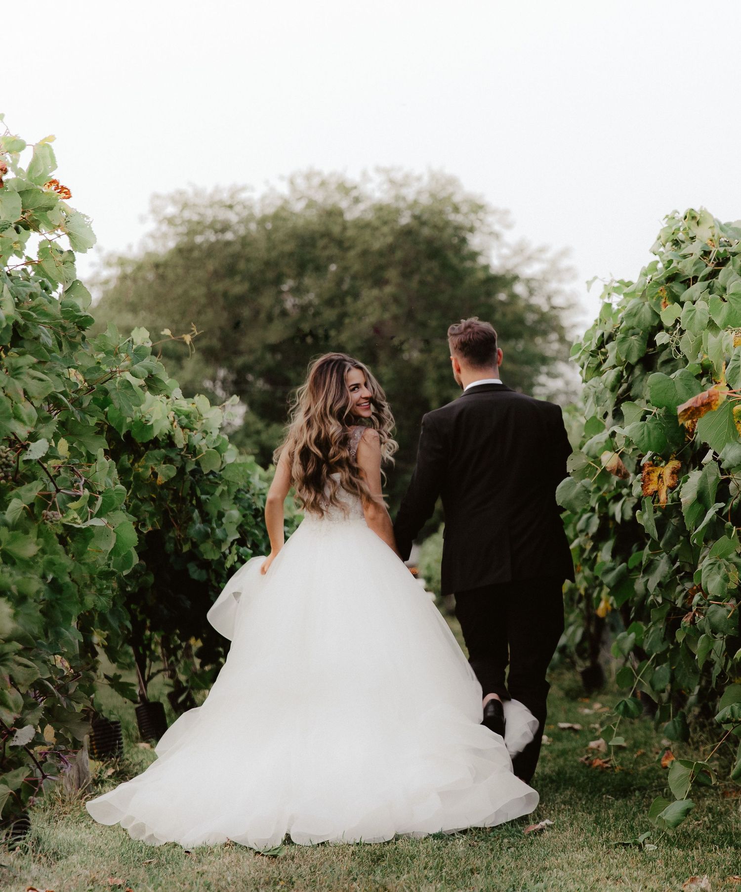 vineyard wedding photos bride groom wedding dress, country pines wedding, lincoln ne wedding photographers