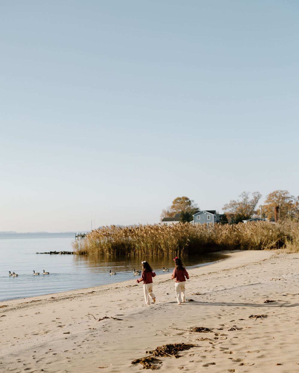 Two figures walk along a sandy beach with tall reeds and calm water in the background on a serene morning.
