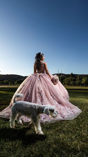 Elegant pink ballgown dress photographed outdoors in a grassy field with a fluffy white dog walking alongside.