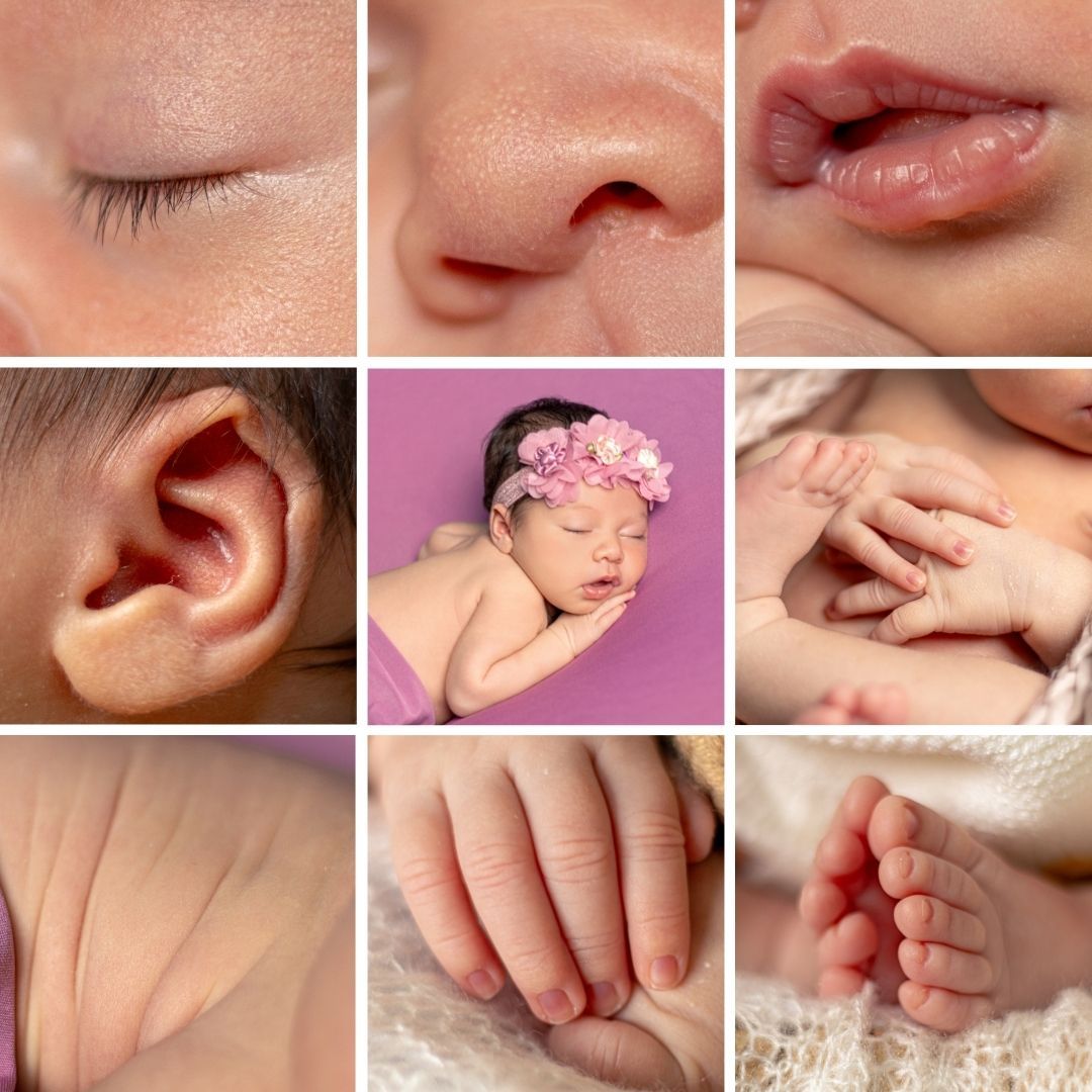 Collage of close-up newborn baby details including tiny hands, feet, and facial features.