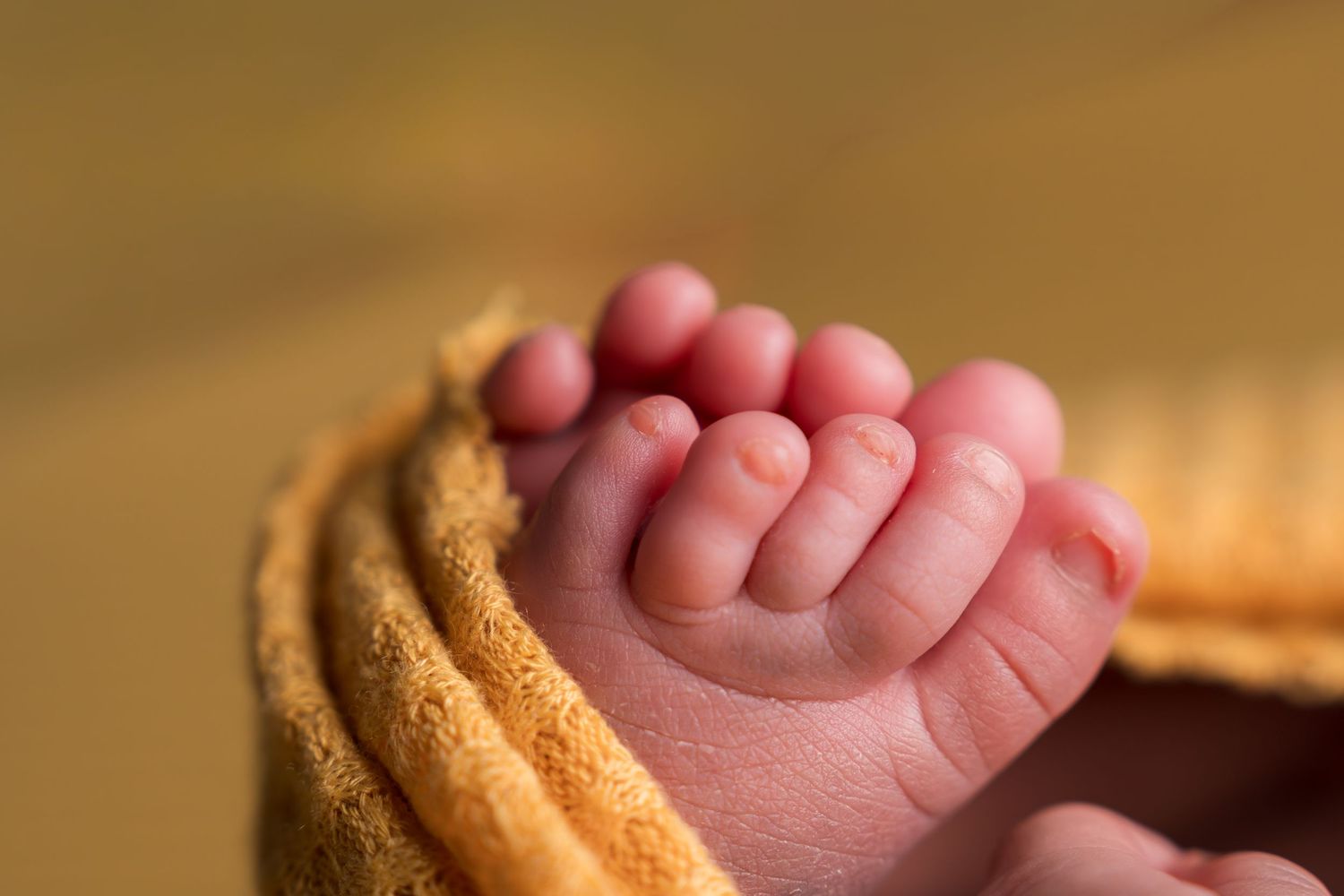 Close-up of tiny newborn baby feet wrapped in a soft orange knitted blanket, showcasing delicate toes.