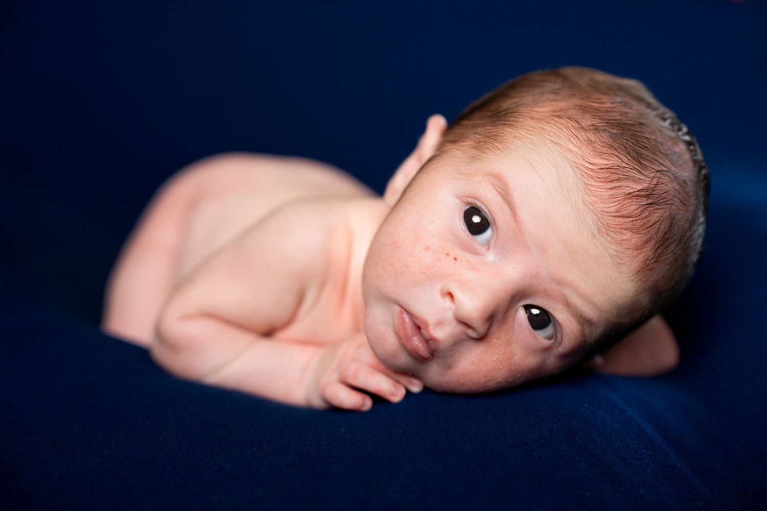 Artistic newborn portrait series against dark blue background.