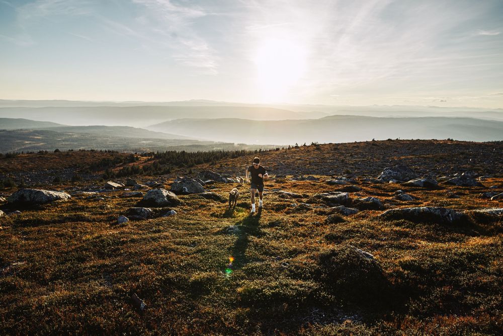 Et annerledes portrettbilde fotografert av Sollien Media i nydelige omgivelser.