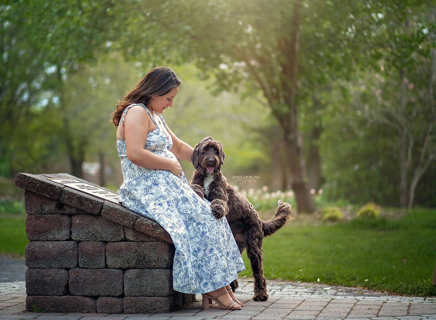A dog gives its paw to expecting couple posing in a romantic sunset setting by a pond.