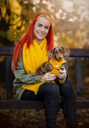 dachshund stockport photography
