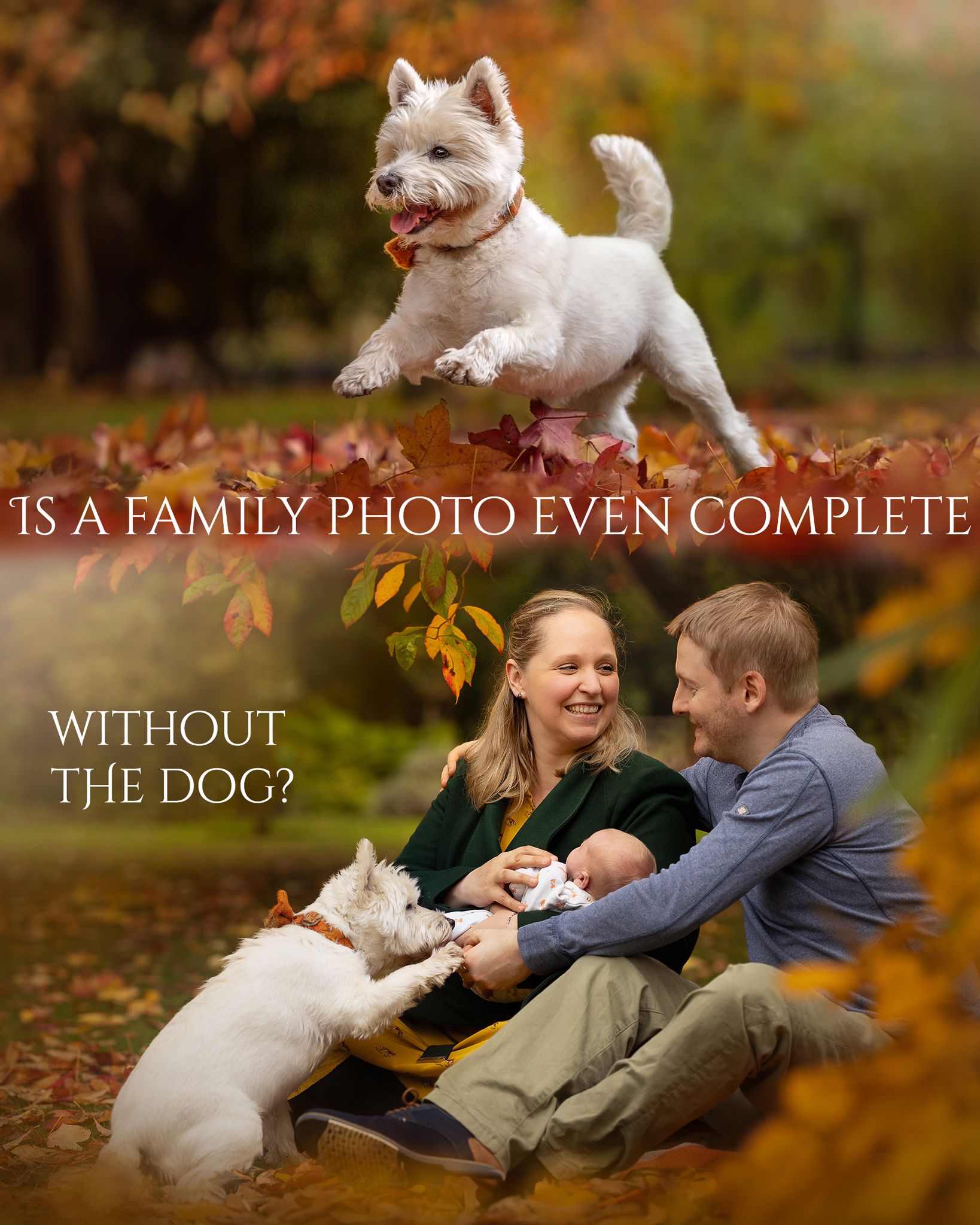 Is a family photo even complete, without the dog?