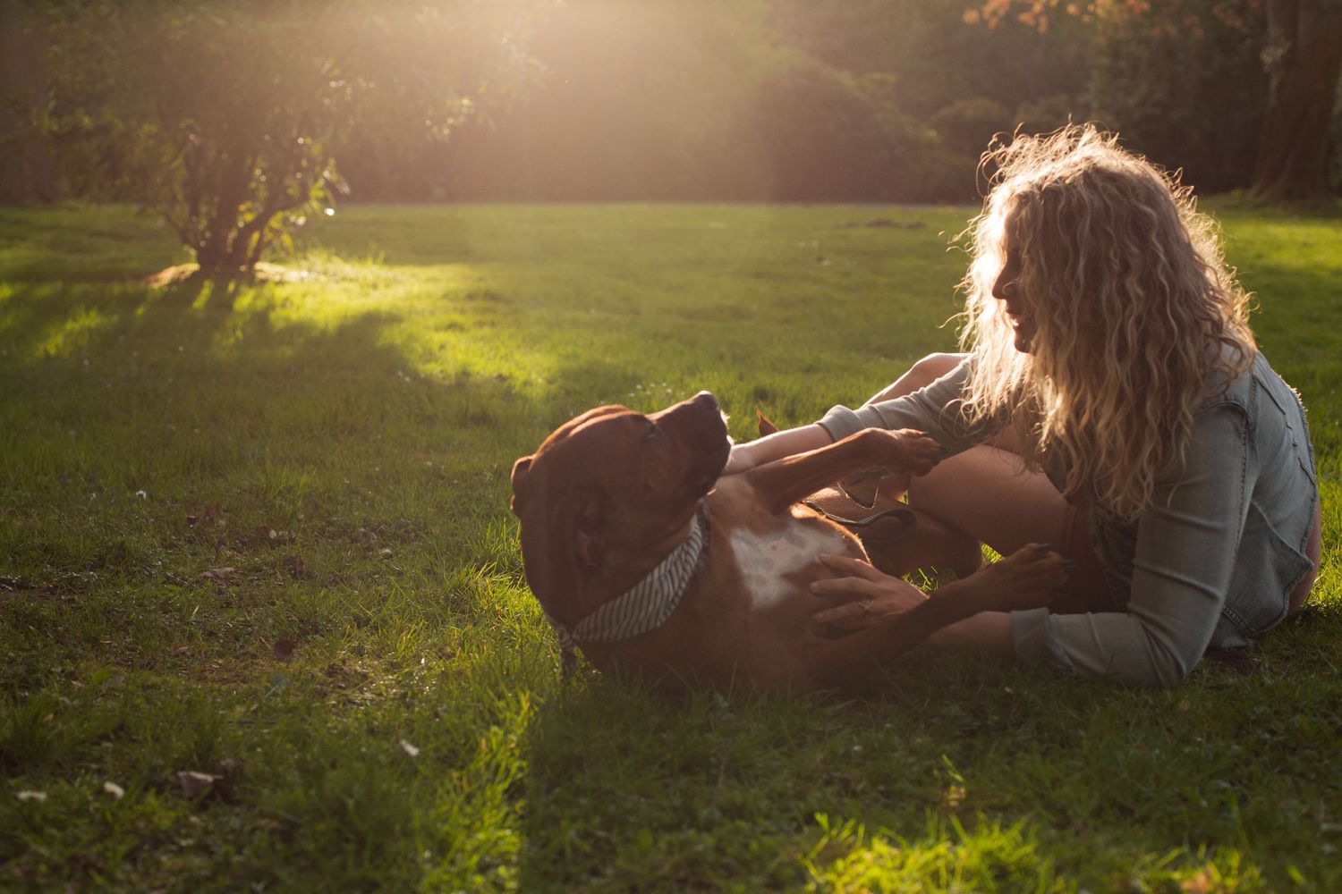 Intimate backlit portrait of mother and baby lounging in sunlit grass at sunset.