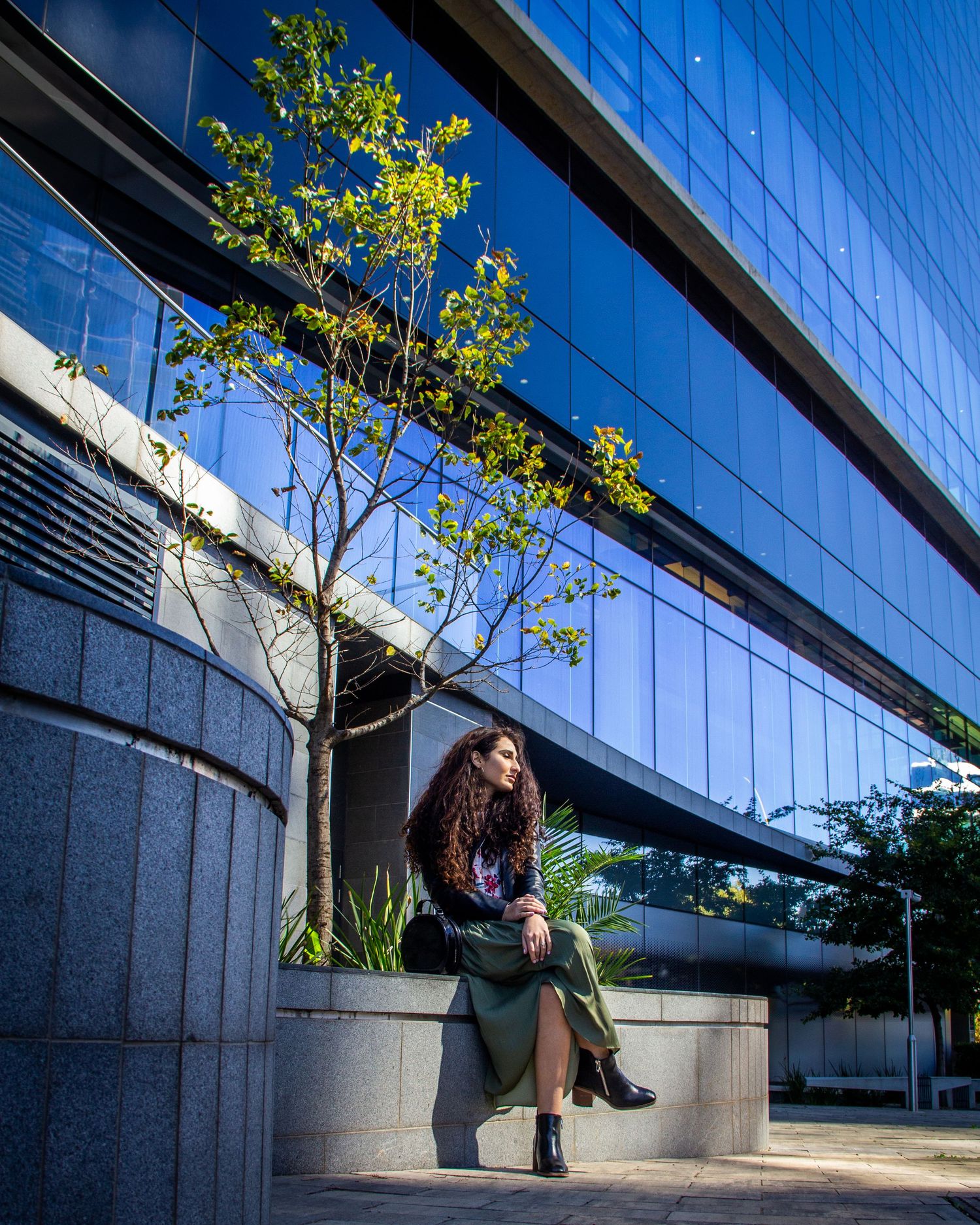 Modern glass office building with angled architecture and leafy branches in sunlight.