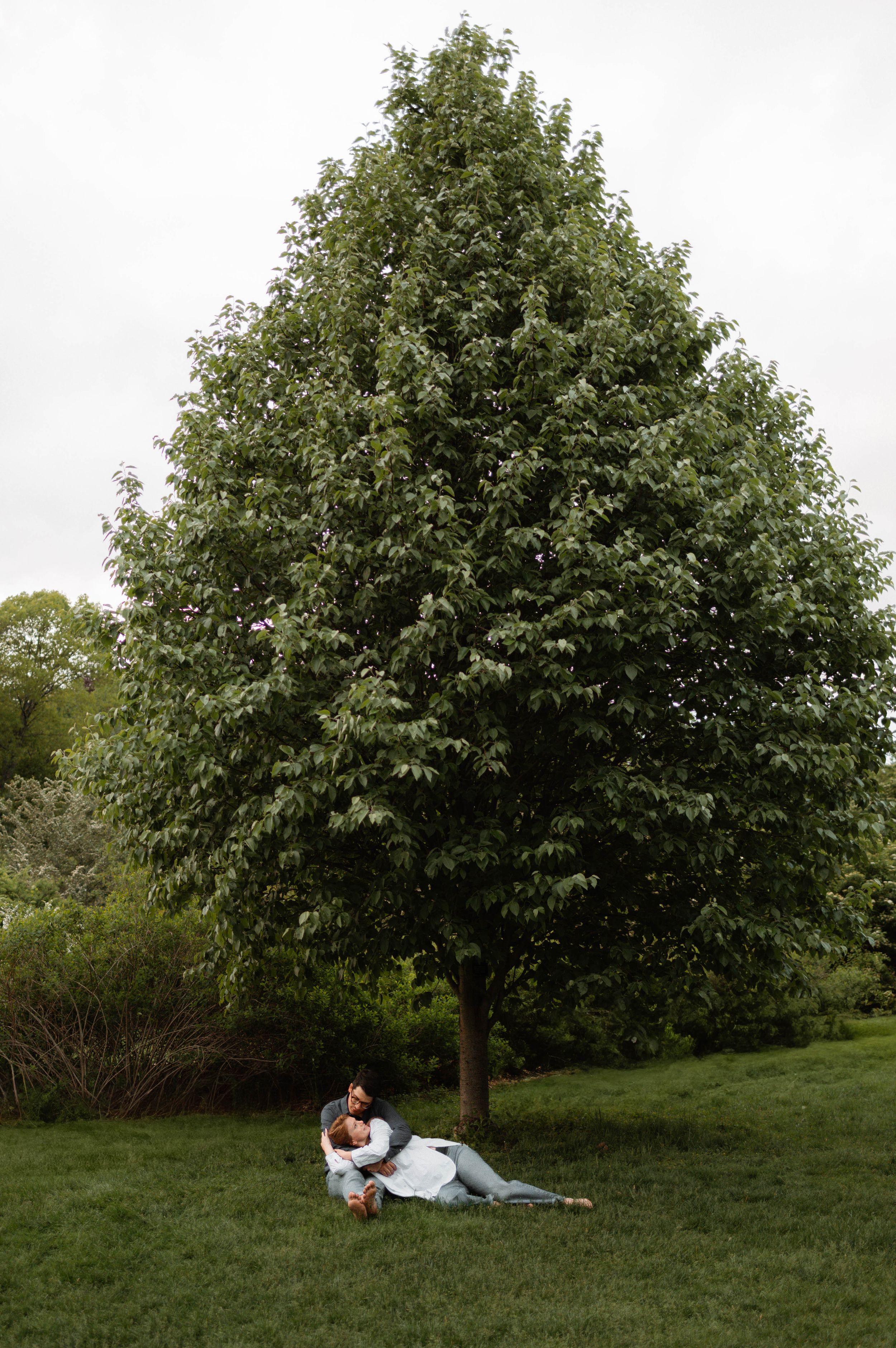 Couple relaxing under large leafy tree on grassy lawn.