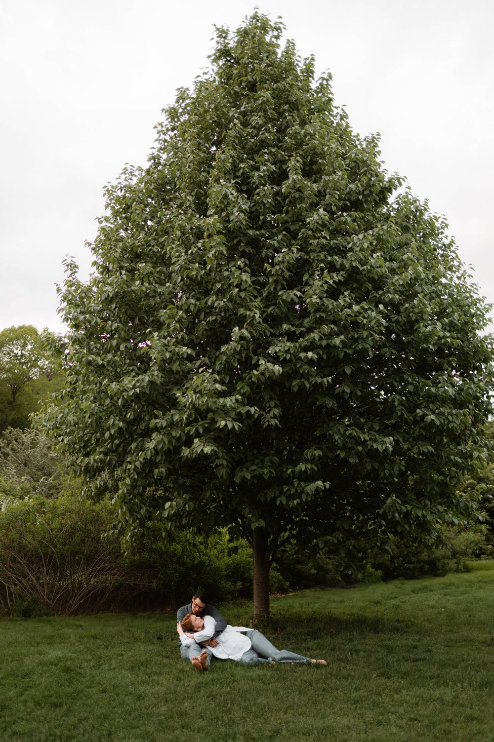 Couple relaxing under large leafy tree on grassy lawn.