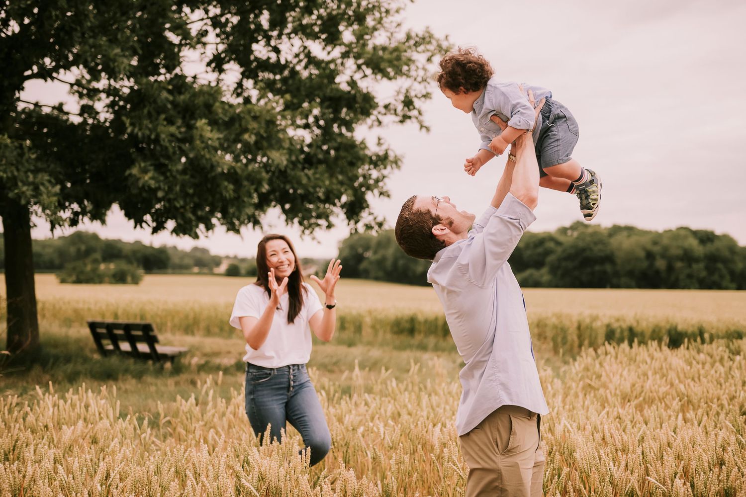 Playful family moment captured in golden wheat field at sunset.