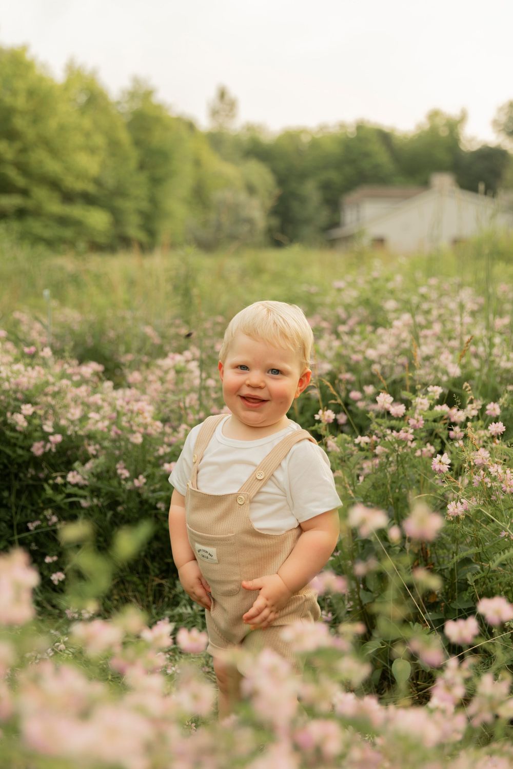 toddler boy standing in a field of wildflowers in metro detroit