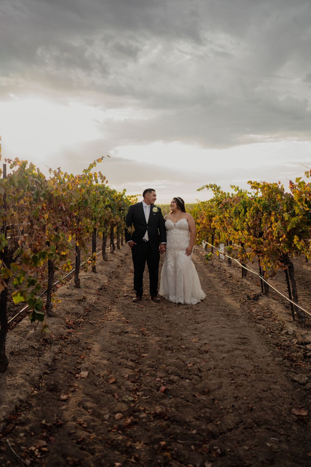 Wedding couple walking through vineyard at sunset with dramatic cloudy sky.
