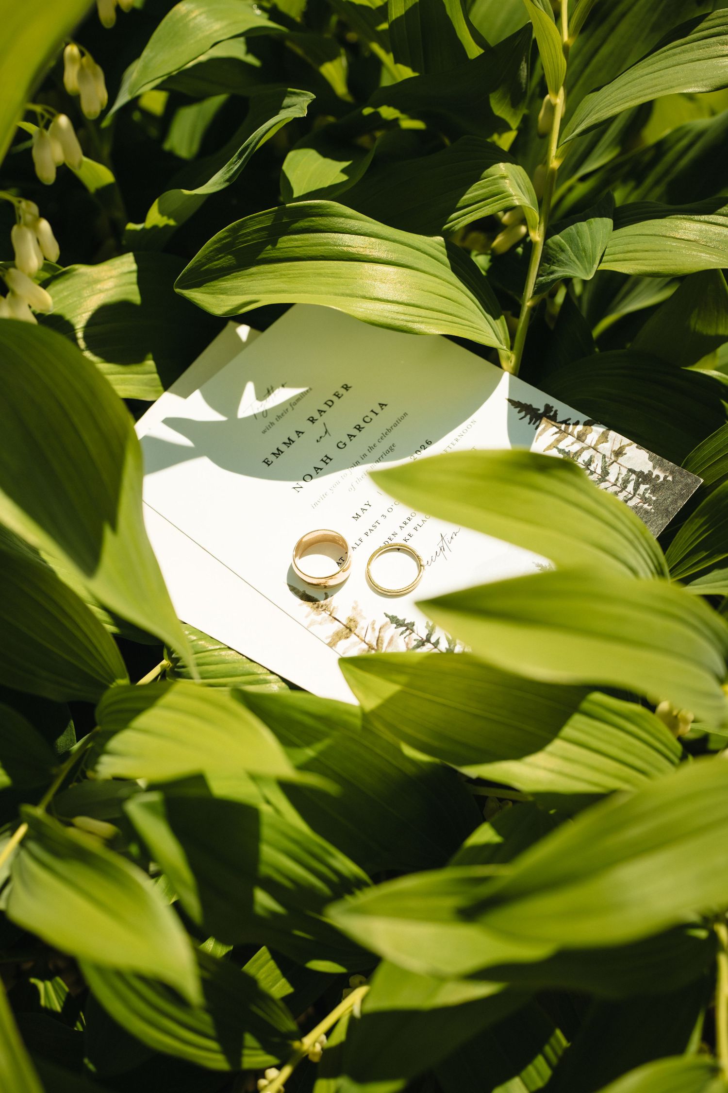 Gold wedding bands rest on elegant wedding invitations surrounded by lush green leaves in natural sunlight.